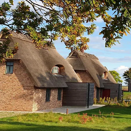 Reetdorf Geltinger Birk Malerhaus Seegras Dom wakacyjny