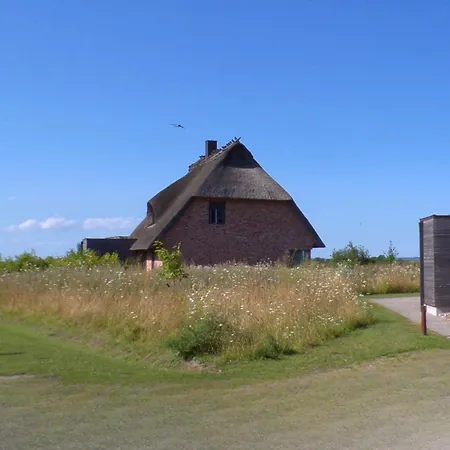 בית נופש Reetdorf Geltinger Birk Malerhaus Seegras *