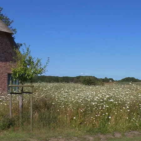 Reetdorf Geltinger Birk Malerhaus Seegras